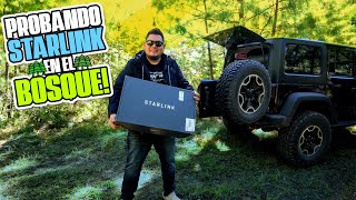 PROBANDO STARLINK EN EL BOSQUE ¿VALE LA PENA?