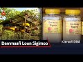 Karraafi Dilbii Dammaafi Loon Sigimoo