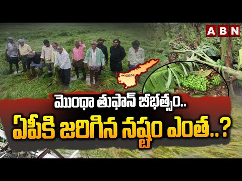 మొంథా తుఫాన్ బీభత్సం.. ఏపీకి జరిగిన నష్టం ఎంత..? | Montha Toofan Effect on AP | CM Chandrababu - ABNTELUGUTV