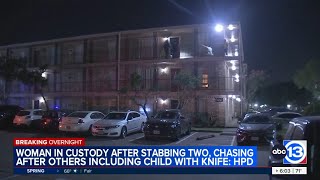 Woman accused of terrorizing southeast Houston neighborhood, stabbing married couple, HPD says