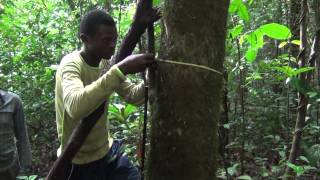 BITC / Biodiversity Inventories - Botanical Field Methods