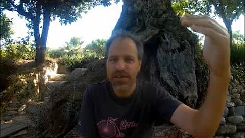 Becoming a plant based athlete as an ultra runner like Scott Jurek