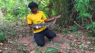 The First Primitive Creative Using Bamboo Branches Komodo Dragon Trap Work 100%