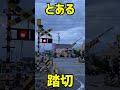 とある踏切で… #shorts