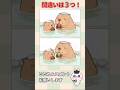 カピバラ温泉の間違い探し #間違い探し #脳トレ #shorts #認知症予防 #クイズ