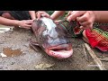 Survival Skills: Smart Couple Catching Giant Fish To Spawn By The Stream Catch Big Fish For Survival