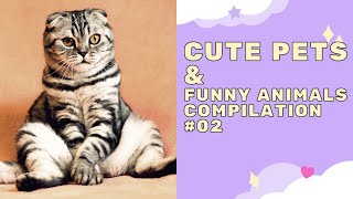 Cute pets & Funny Animals Compilation #02 by Animal Lovers 7 views 3 years ago 3 minutes, 11 seconds