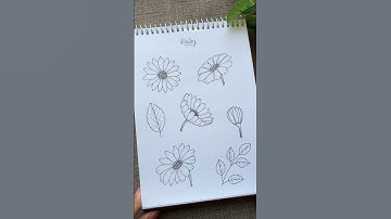 Daisy flower 🌼 #perspective #drawing #drawingtutorial #art #shortsviral #daisy #learnart #flowers