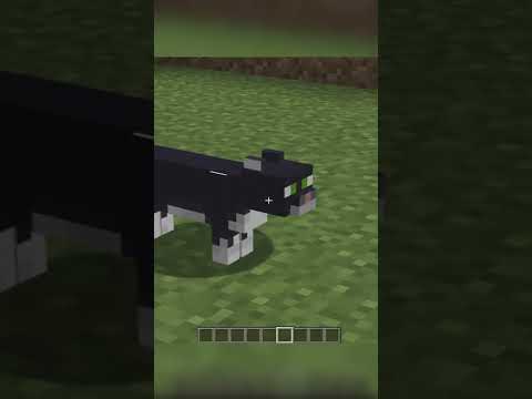 ПОЧЕМУ КРИПЕРЫ БОЯТСЯ КОШЕК? #майнкрафт #shorts