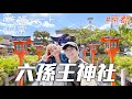 京都「六孫王神社」的紫藤花好像開花了？😮｜今晚打邊爐，陪我們去買餸吧！😛😊｜夫婦の日常｜Kiu &amp; Chung