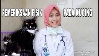 CARA PEMERIKSAAN FISIK PADA KUCING screenshot 1