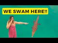 Swimming at CROCODILE Island?! [Ep. 50]