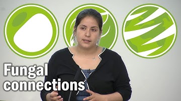 Aidee Guzman: The relationship between aboveground diversity and arbuscular mycorrhizal fungi