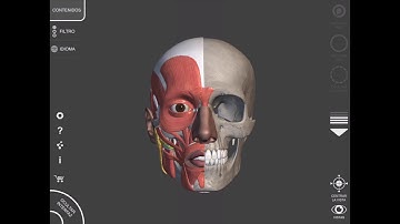 NEUROAPPS ANATOMY 3D ATLAS