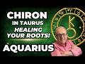 Aquarius: Healing your Roots! | Chiron in Taurus 3-Month Forecast