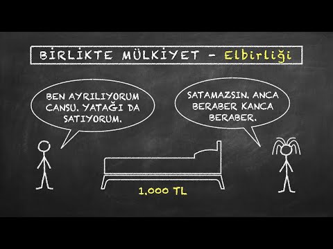 Video: Taşınmaz mülkiyetinin temel hakları nelerdir?