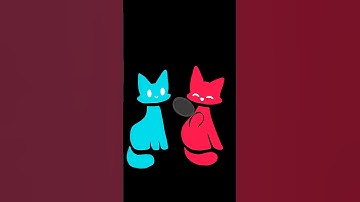 Just Two Cats Playing! ❤️🩵