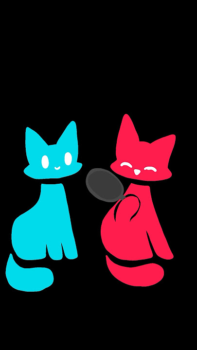 Hanya Dua Kucing yang Bermain! ❤️🩵