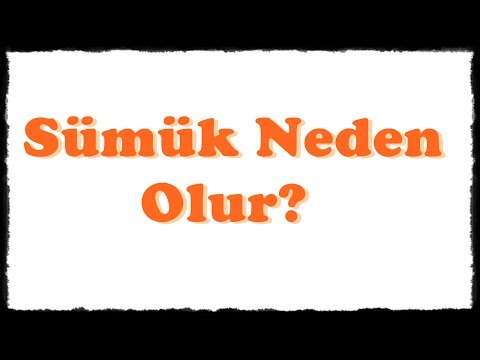 Video: Metafizar sümük nədir?