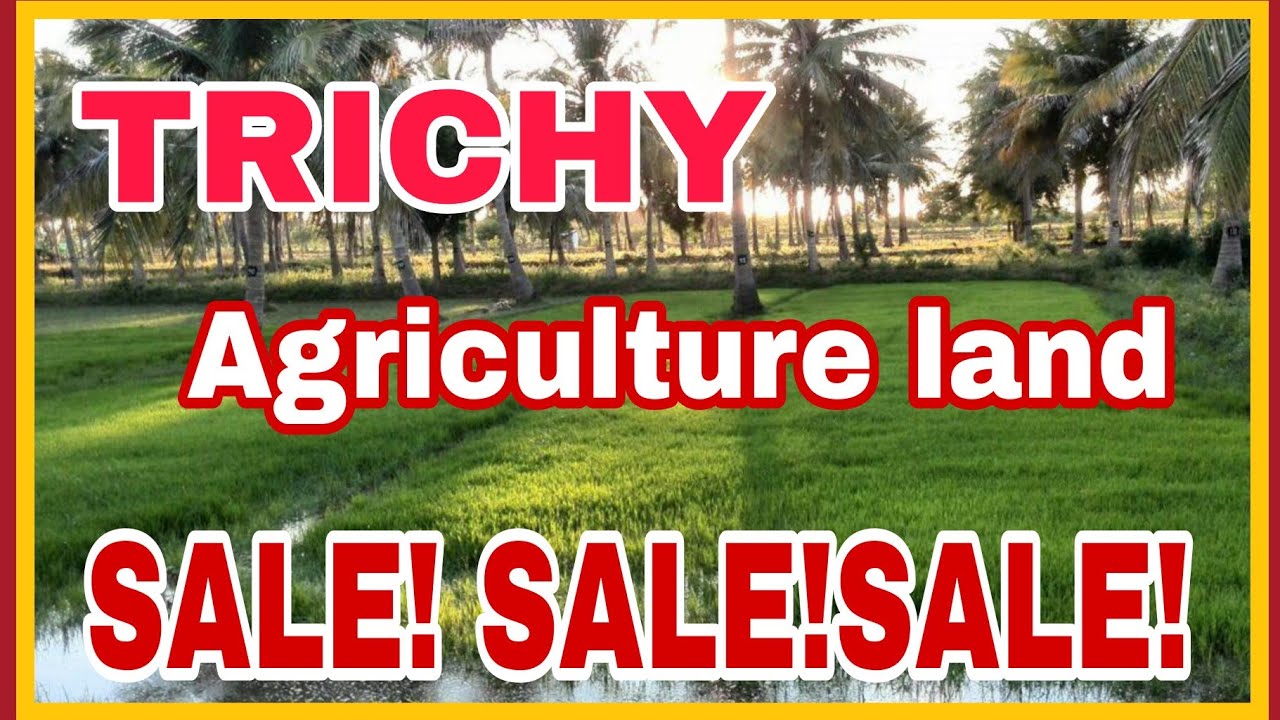 Agriculture land sale Trichy 28 acre realestate trichy landsale 