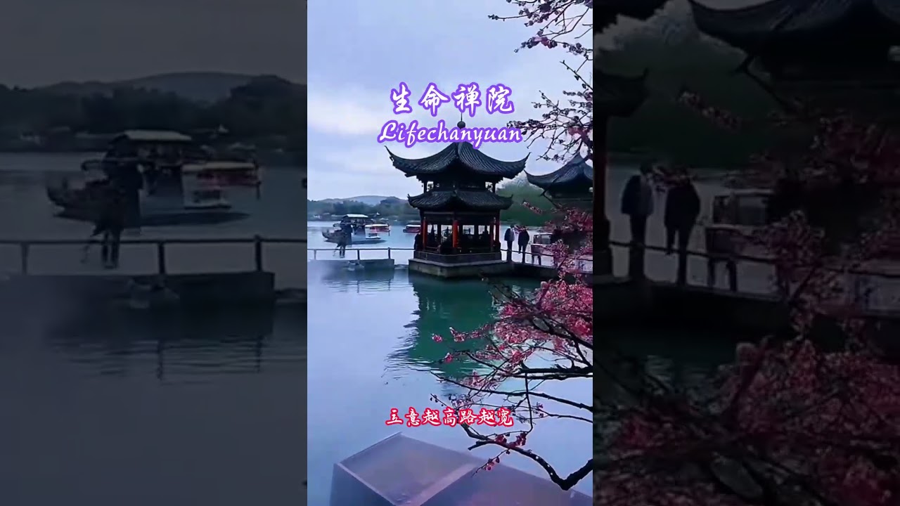 立意越高路越宽#雪峰#生命禅院#灵性人生