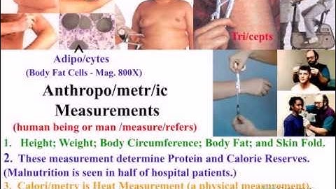 Anthropometric Measurements