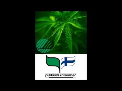 Video: Voitko Yliannostaa Marihuanaa? Erottaminen Myytistä Tosiasioista