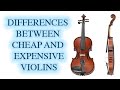 Difference between cheap and expensive violins  kv