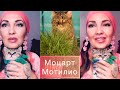 1 апреля в День смеха родился Мотя Мультик монстра 😂😽🤩Смотреть всем (Katya Ru)