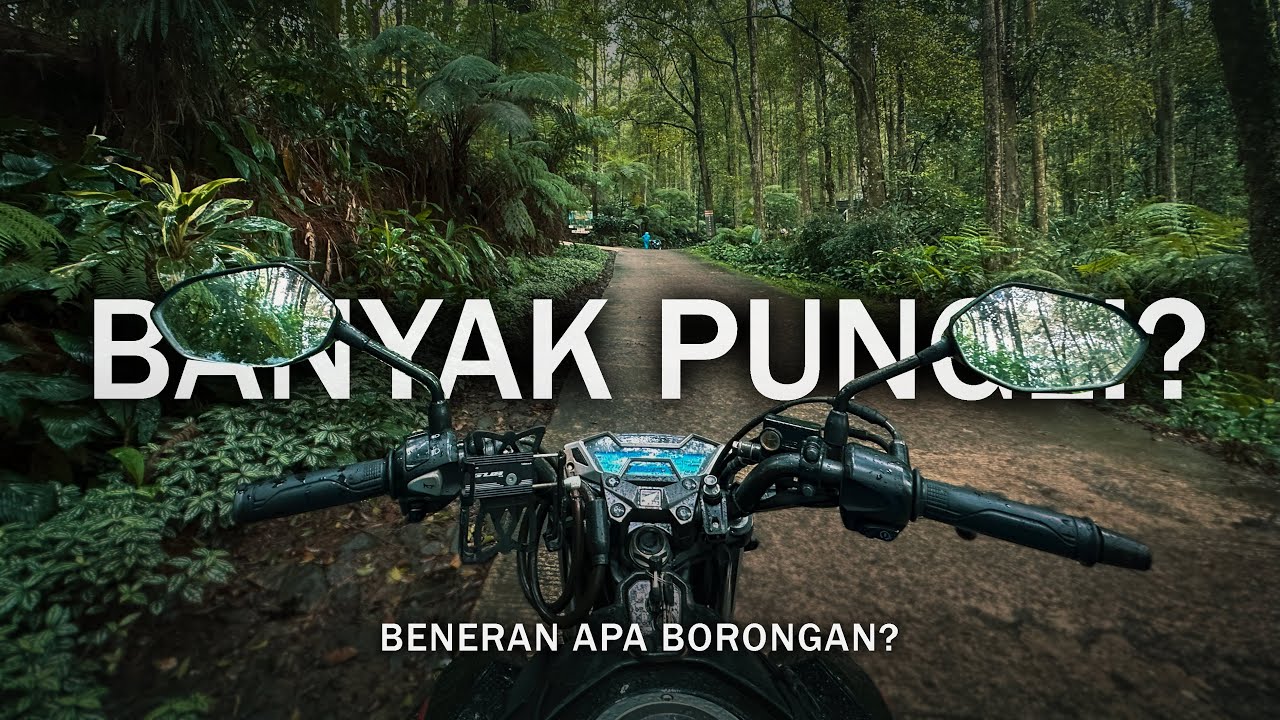 Mencari Ketenangan di Bogor, Tapi..... (Halimun Salak #1)