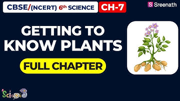 Getting to Know Plants - Full Chapter | CBSE Class 6 Science Chapter 7 | Sreenath Academy