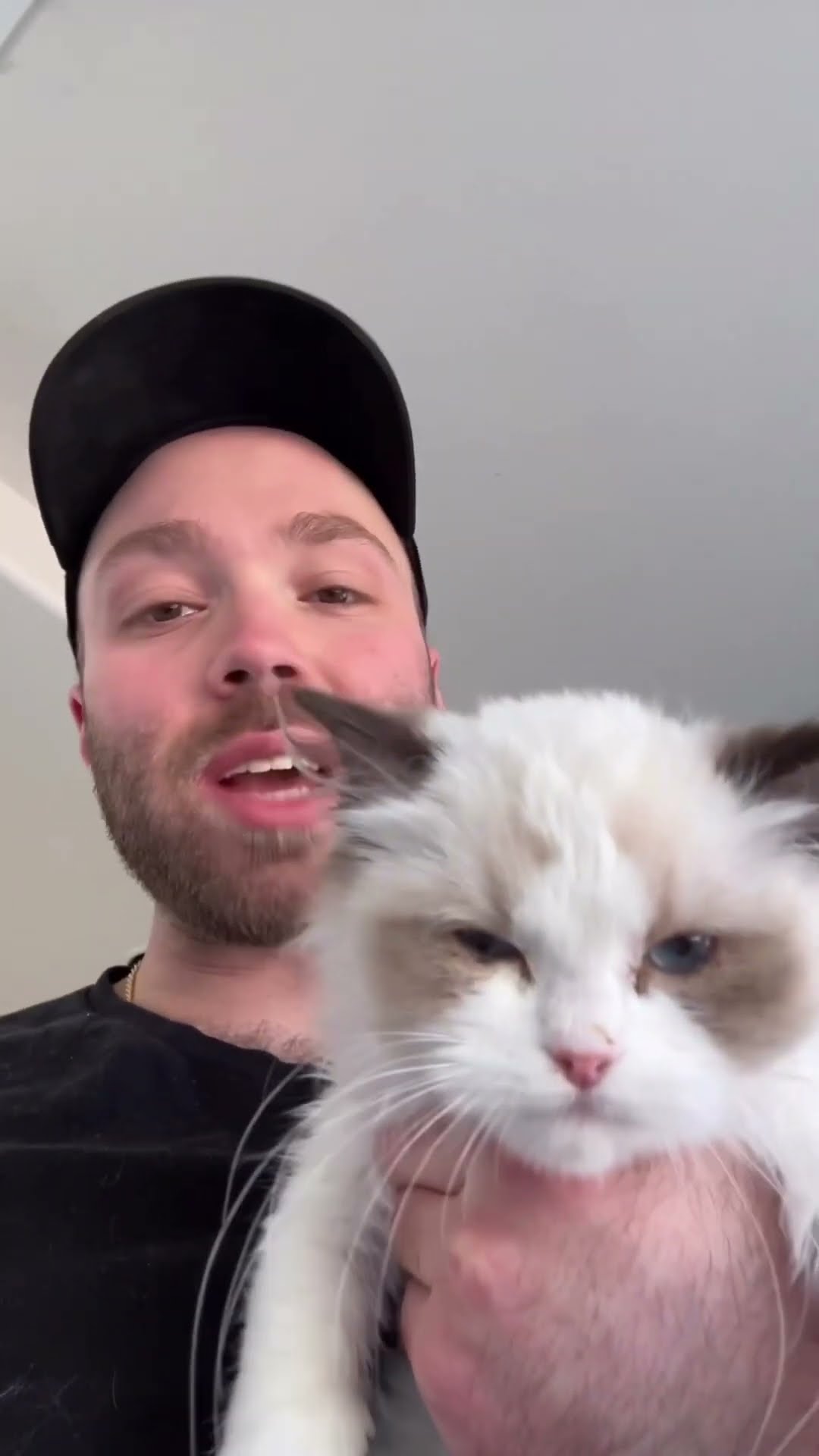 The perfect gift for friends and loved ones with a kitten @LitterRobot #litterrobot