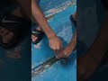 Crab attack | FUNNY #funny #shorts #trynottolaugh