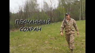 Видео ПРОБИВАЕМ ЛЕСНУЮ ПОЛЯНКУ НА СТАРИНУ (ЗМЕЯ, РОДНИК, ОВРАГ) (автор: ZLODEY)