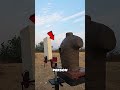 The Tree That Ate A Bullet