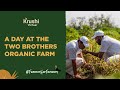 How does a day starts at the farm  two brothers organic farms 