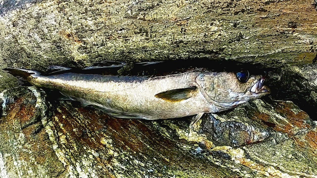 Что сегодня происходит с рыбой? Рыбалка с подписчиками. Рыбалка в ...