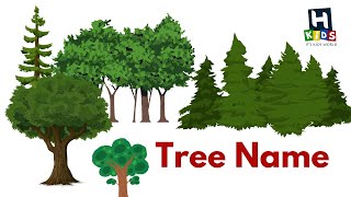 Trees Names and Images Learning in English for Kids | Fun Educational Video