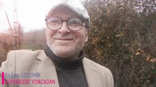 Süpürgesi Yoncadan . Doğan Özdemir... Technics Ax 7 Ve Roland E 86