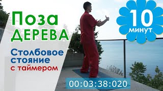 Онлайн медитация под звуки моря // Цигун Поза дерева Столбовое стояние 10 минут // Сергей Виноградов