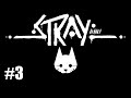 STRAY-EL TRANSCEPTOR- GAMEPLAY ESPAÑOL PS5 CAPITULO 3