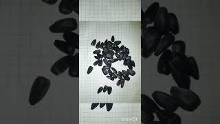 Бросить курить легко 43способа 43приема броситькурить некурю некури