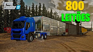 The Farmer #76 | The pigs from the farms have arrived | Farming Simulator 22 screenshot 5