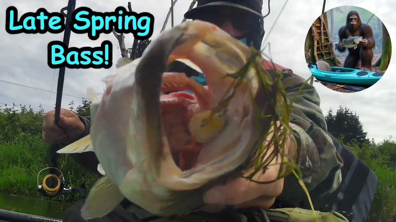 Late Spring Bass with a Frog