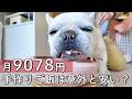 【1食151円】手作りご飯って高い？フレブル10Kgのリアルな家計簿+節約術