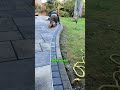 This Backyard Upgrade Changes Everything at Night