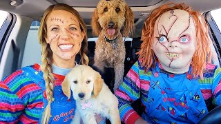 Puppies Surprise Dancing Car Ride Chase!