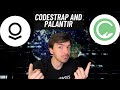 Why @Codestrap_ai Likes Palantir And How He Got Into Software Development