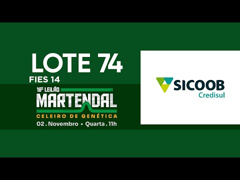 LOTE 74   FIES 14