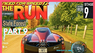 NEED FOR SPEED: THE RUN | STAGE 9 | STATE FOREST | WALKTHROUGH PART 9 (4K 60 FPS)
